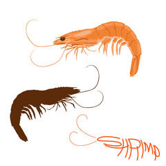 shrimp  vector illustration flat style logo profile 