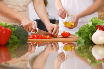 Closeup of human hands cooking in kitchen. Mother and daughter or two female friends cutting vegetables for fresh salad. Healthy meal, vegetarian food and lifestyle concepts
