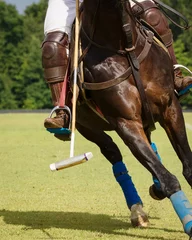Fototapete Pferdesport Horse Polo Player with mallet in the game action, close-up  © Svetlana
