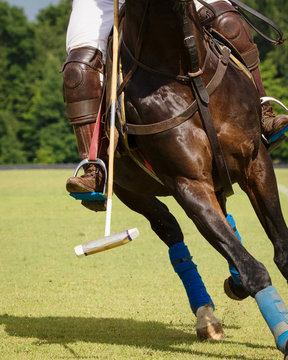 Horse Polo Player with mallet in the game action, close-up