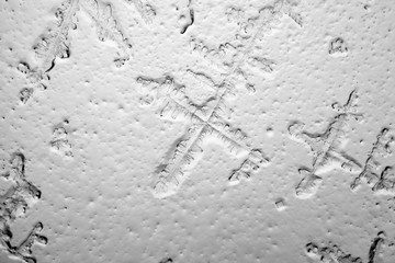 Tears viewed at the microscope. Magnification 100-1000x

