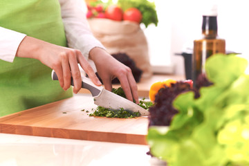 Close Up of human hands cooking vegetable salad in kitchen on the glass table with reflection. Healthy meal, and vegetarian food concept