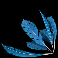 Blue Bird's Feathers Corner Decoration Element