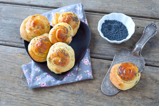 Mohn-Schnecken