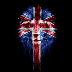 Portrait of a Beautiful lion, lion in the dark, Portrait of a lion with a projection of the flag of great Britain