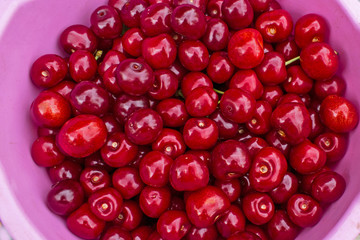 Red large cherries in a pink bowl. Top view, close-up. The collected juicy berries are red.