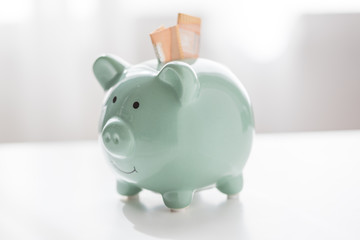Pastell grünes Porzellan Sparschwein mit 2 50€ Scheinen um für Finanzierung, Rente, Vorsorge oder finanzielle Freiheit zu Sparen 