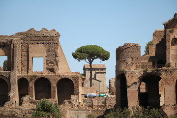 Ruins of Palatine in Rome, Italy 