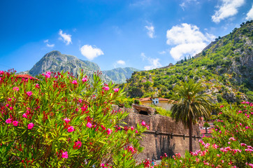 Beautiful narrow streets of old town Kotor, Montenegro.