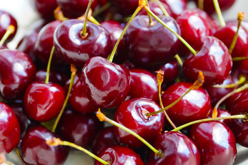 Close-up on sweet cherry fruits.