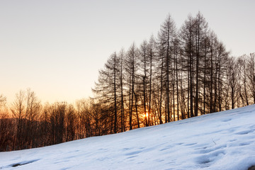 early morning
