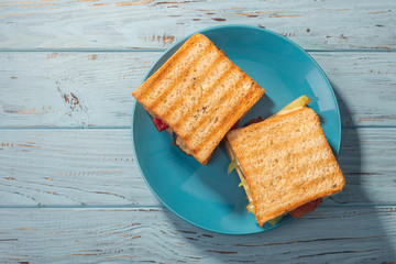 Sandwiches with vegetables on a blue plate