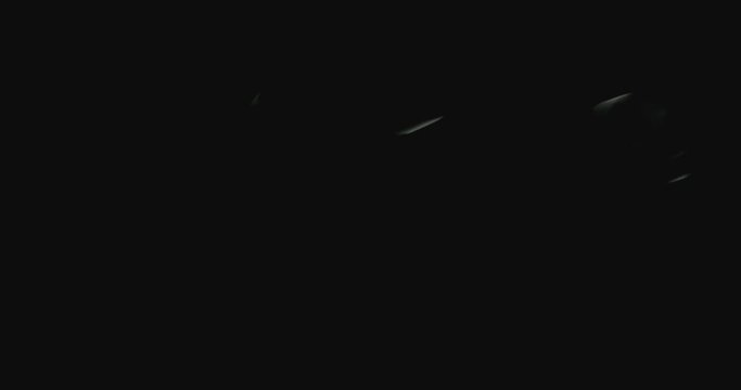 Blurry Cloud Of White Smoke On Black Fly away Fast
