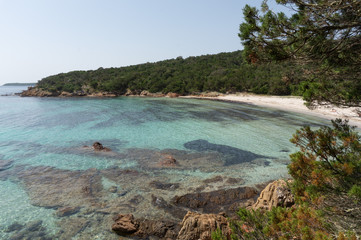 Corse