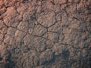 Texture of cracked earth in the evening sun.