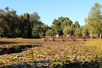 Laguna Parque de Valdivia