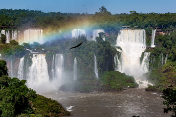 Fototapeta na wymiar Waterfalls with rainbow and bird flying by