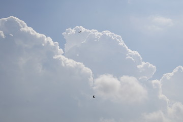 high clouds and soaring gulls