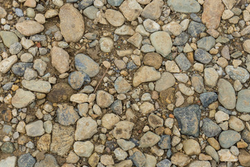Some stones on a path