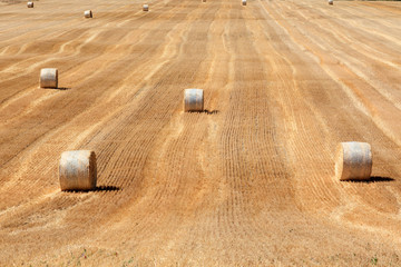 Hay bales in summer
