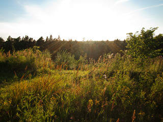 Sun setting behind a countryside field