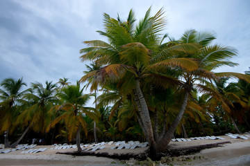 Obraz premium Beautiful tropical coastline in Dominican Republic