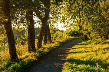Summer evening in Naantali, Finland