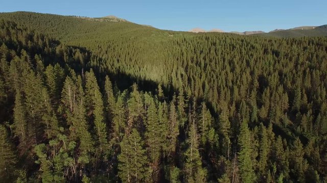 Aerial drone footage of forests, trees, woods, and mountains in Colorado Rockies (backward 1)