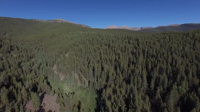 Aerial drone footage of forests, trees, woods, and mountains in Colorado Rockies (backward 2)