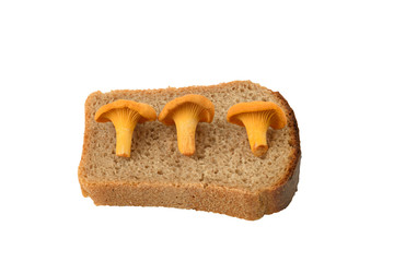 Three mushrooms chanterelles on a slice of rye bread isolated on white background
