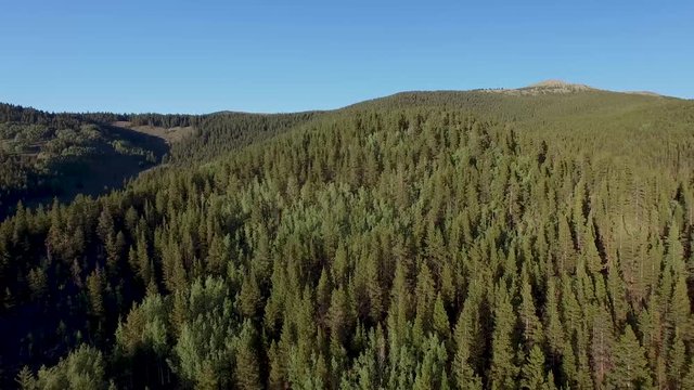 Aerial drone footage of forests, trees, woods, and mountains in Colorado Rockies (backward 3)