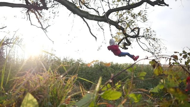 Little kid girl sway on hanging from a tree suspended rope swing in autumn park sunset