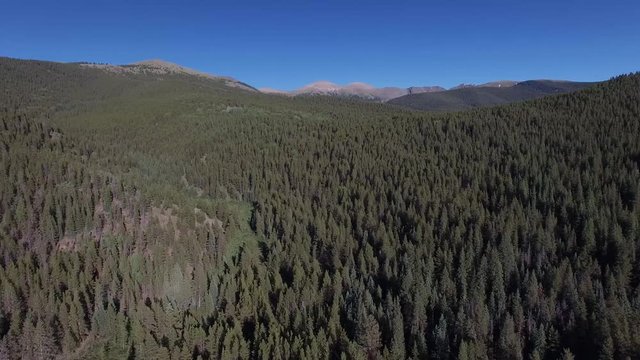 Aerial drone footage of forests, trees, woods, and mountains in Colorado Rockies (forward 1)