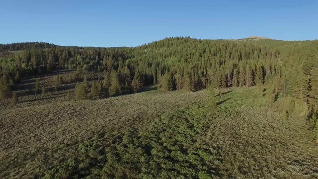 Aerial drone footage of forests, trees, woods, and mountains in Colorado Rockies (forward 2)