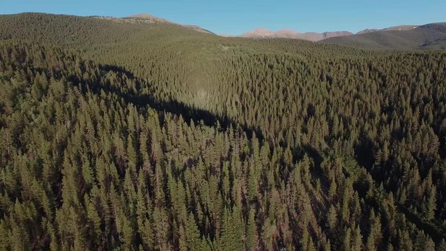 Aerial drone footage of forests, trees, woods, and mountains in Colorado Rockies (forward 3)