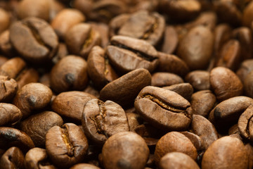 coffee beans macro