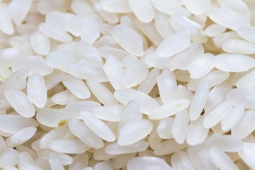 rice close up