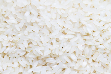 rice close up