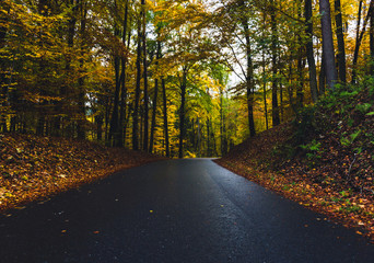 a road in autumn in germany