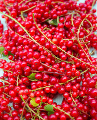 red currant on wooden surface