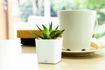 Tree is in the vase and coffee cup.