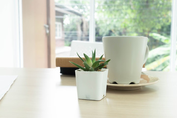 Fototapeta na wymiar Tree is in the vase and coffee cup.