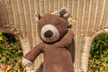 Teddy in Wicker Chair