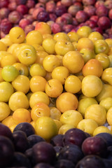 Rainbow of plums
