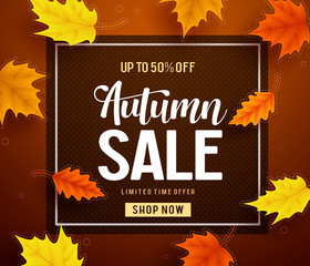 Autumn sale vector banner template with frame and sale text in fall season leaves background for seasonal discount promotion template. Vector illustration.
