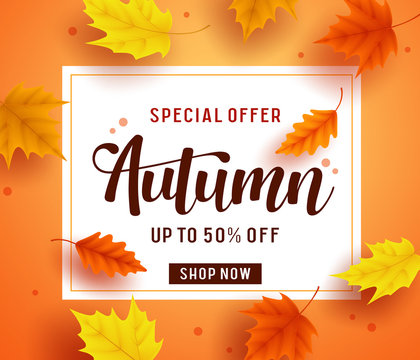 Autumn special offer banner template with white space for text and colorful fall season maple leaves elements for discount promotion. Vector illustration.
