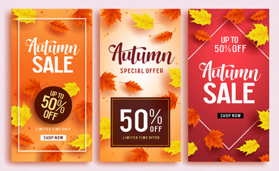 Autumn sale vector poster design template with 50% off sale text and colorful maple leaves background for fall season shopping discount promotion. Vector illustration.

