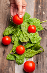 Fresh tomatoes and spinach on wooden table