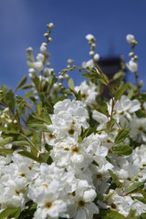 IMG_3255.JPG