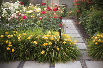 Day Lily Walkway